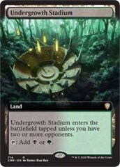 Undergrowth Stadium (Extended Art)